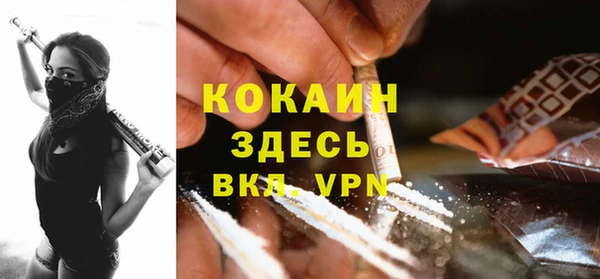ПСИЛОЦИБИНОВЫЕ ГРИБЫ Бородино