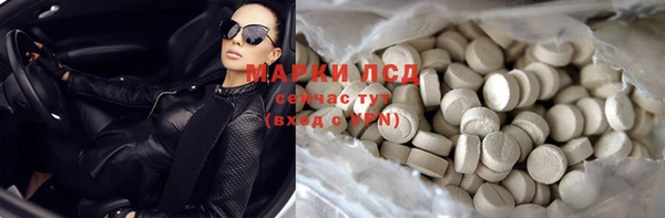 ПСИЛОЦИБИНОВЫЕ ГРИБЫ Бородино